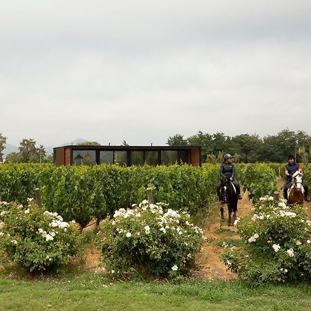 Vibo Wine Lodge At Viu Manent Santa Cruz Extérieur photo